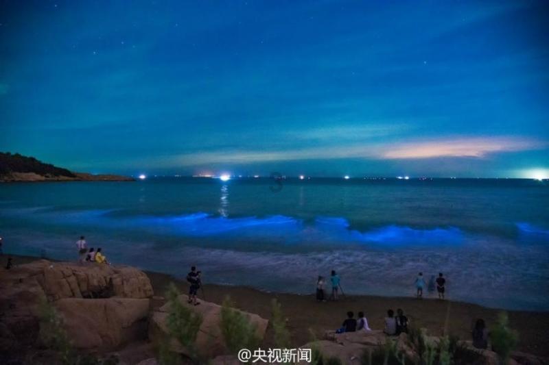 乐儿打彩蛋