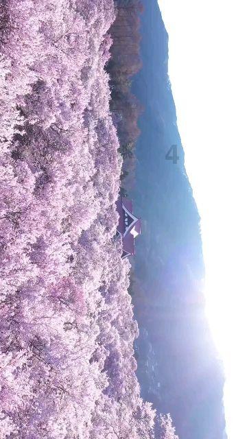七里河区残联开展“家家幸福一元捐”慰问活动