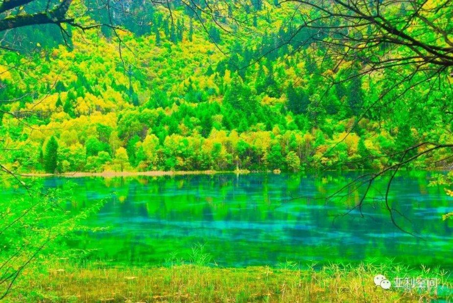 【问政问需在基层】白敏委员:切实解决群众的急难愁盼,专业性很重要