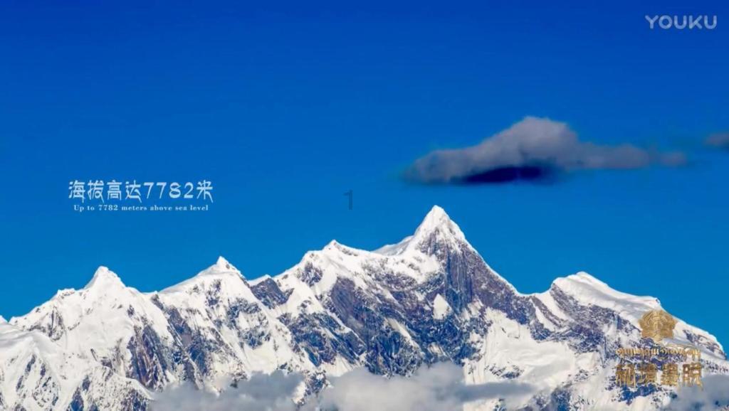 小猫钓鱼游戏龙王版有船