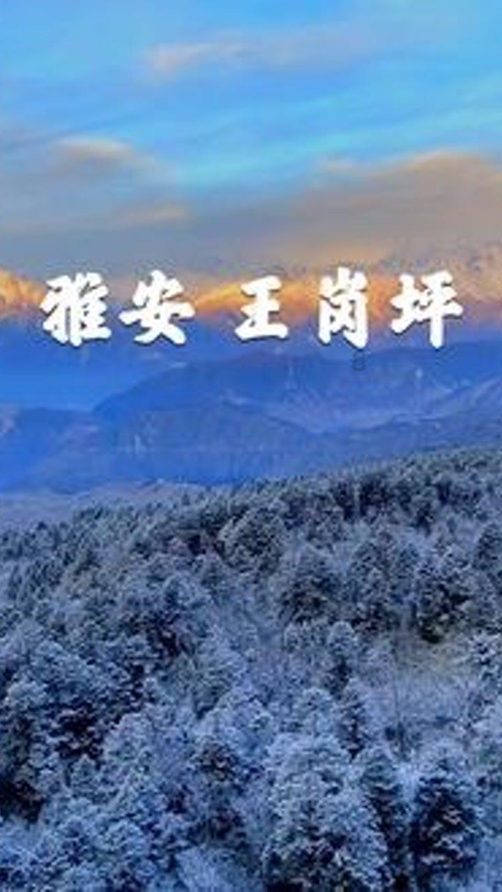 龙腾世纪审判