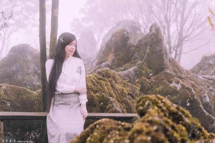 精灵女王的礼物