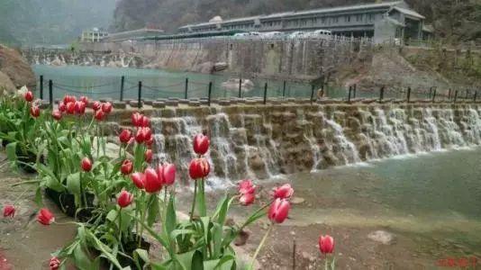 剧院的麻烦