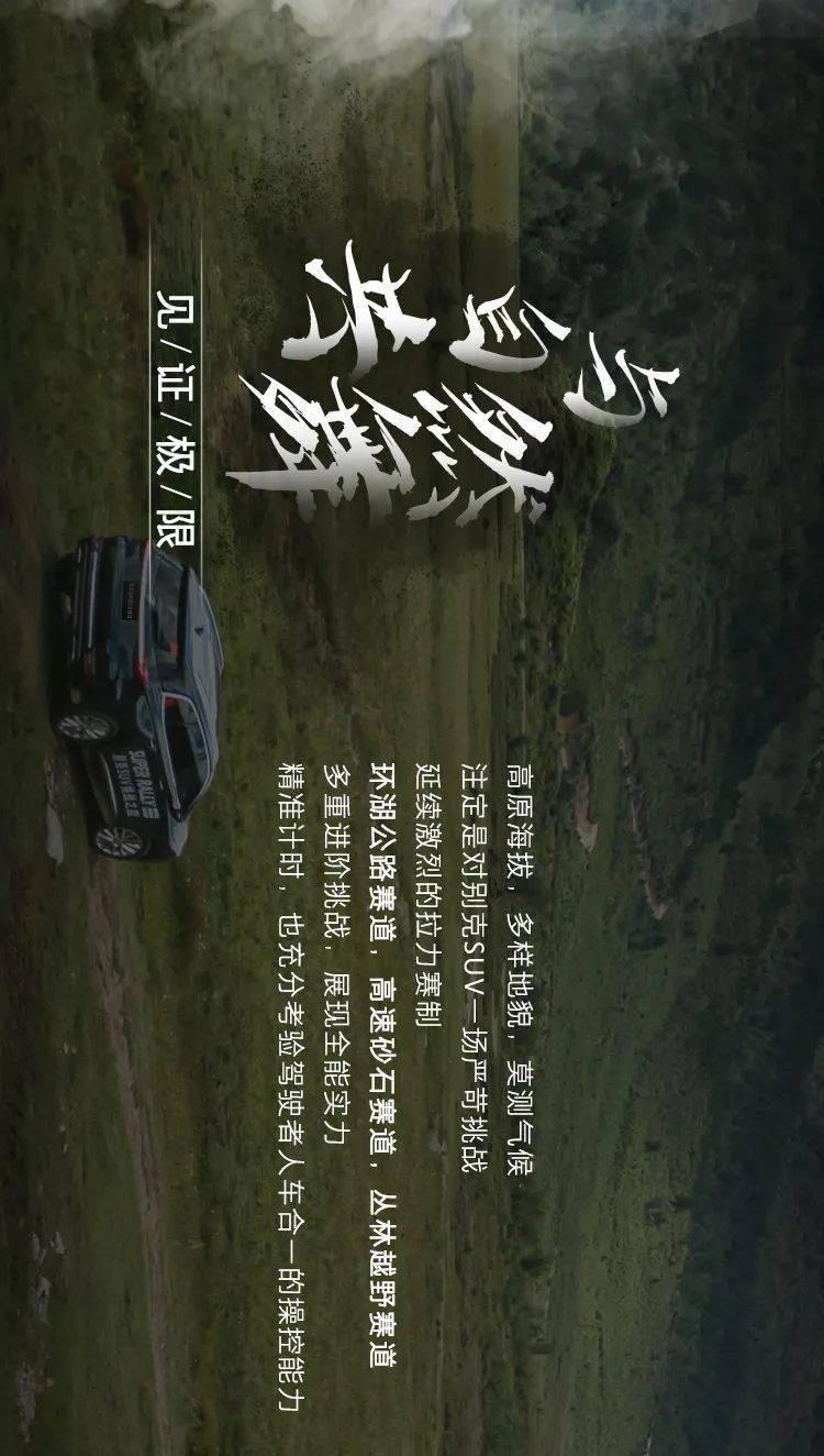 小猫钓鱼游戏龙王版有船