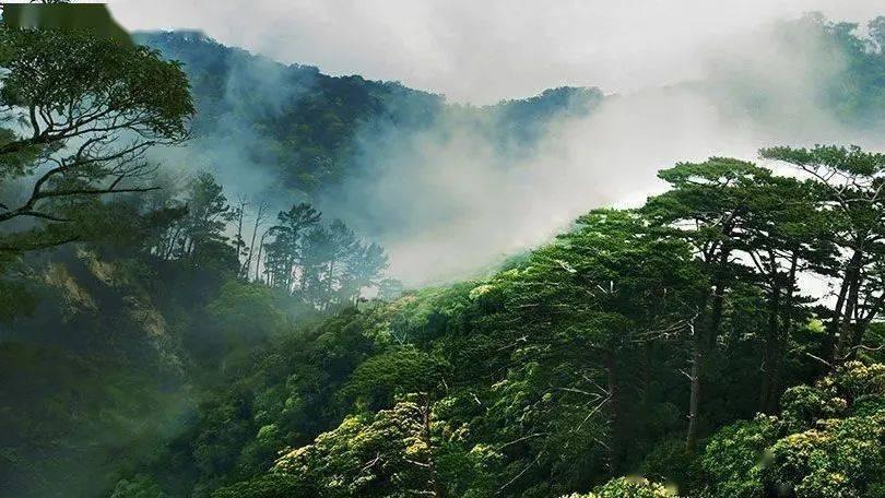 为何去寺庙烧香要烧三根？为何点蜡点一对？游戏画面