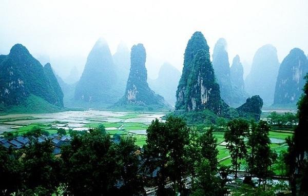 瑞德的冒险之旅中文版