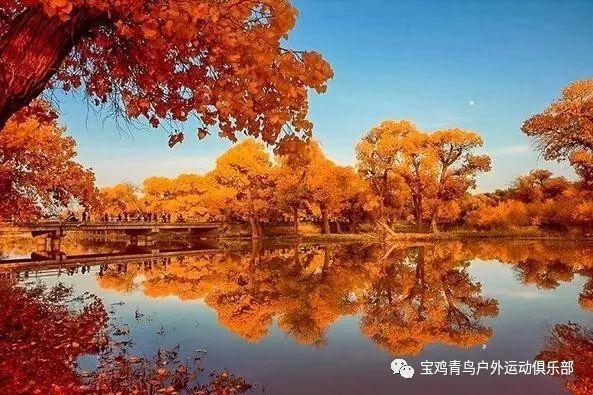 全战：不列颠王座