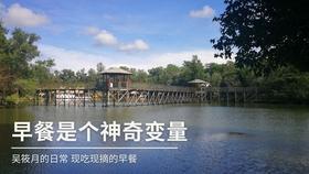 弹弹堂大冒险