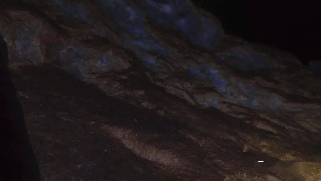 烘培蛋糕记忆卡