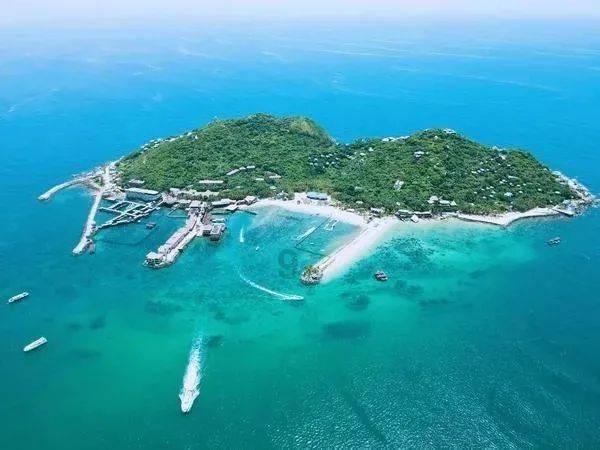 甘肃省专精特新中小企业“一月一链”投融资路演活动启动仪式暨甘南州专精特新企业挂牌仪式举办