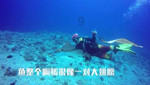浪漫衣裙
