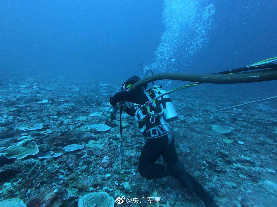 熊出没水果大陆2