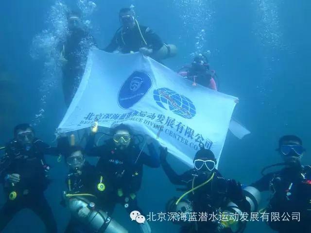 金毛犬多少钱一只？公的游戏画面