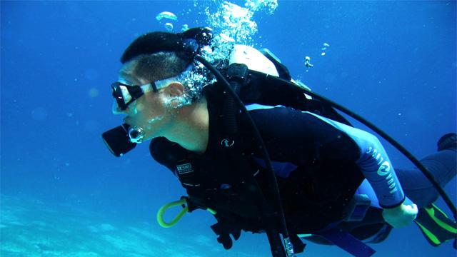 全民烧脑3去广告版