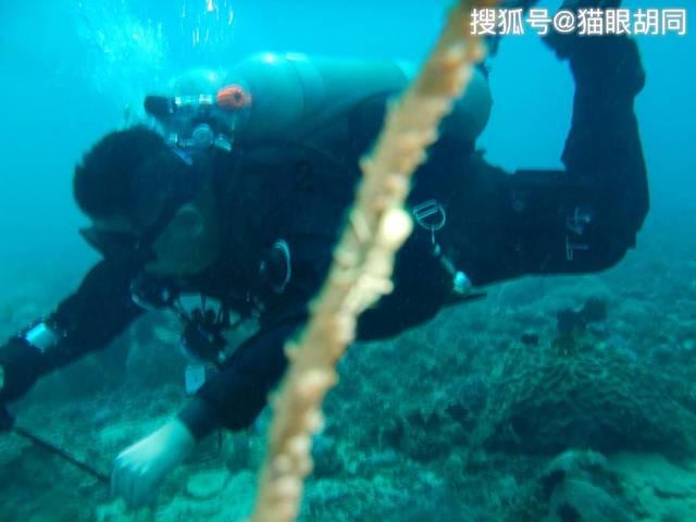 导弹乌龙后，台军：以后攻台才警报，话音刚落，大陆出动大批军机