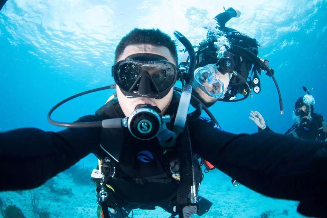 沪江开心词场