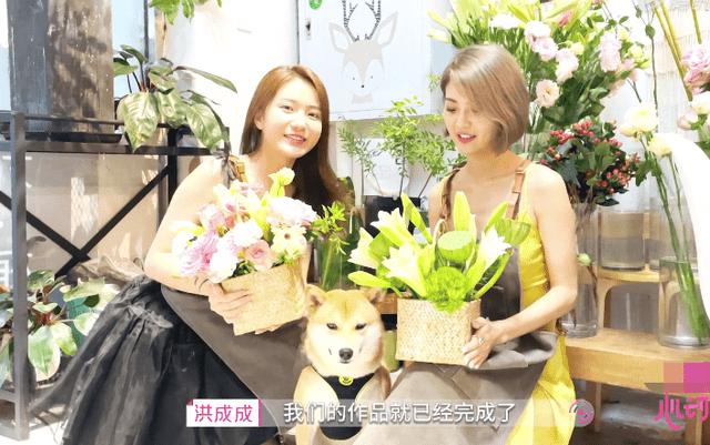 阿宝村：番茄种出致富路 乡村振兴别样红
