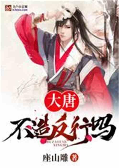 这本书讲了什么?