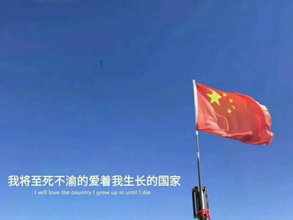 掘地挖宝