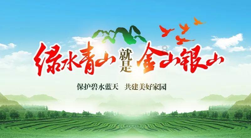 虫虫助手下载