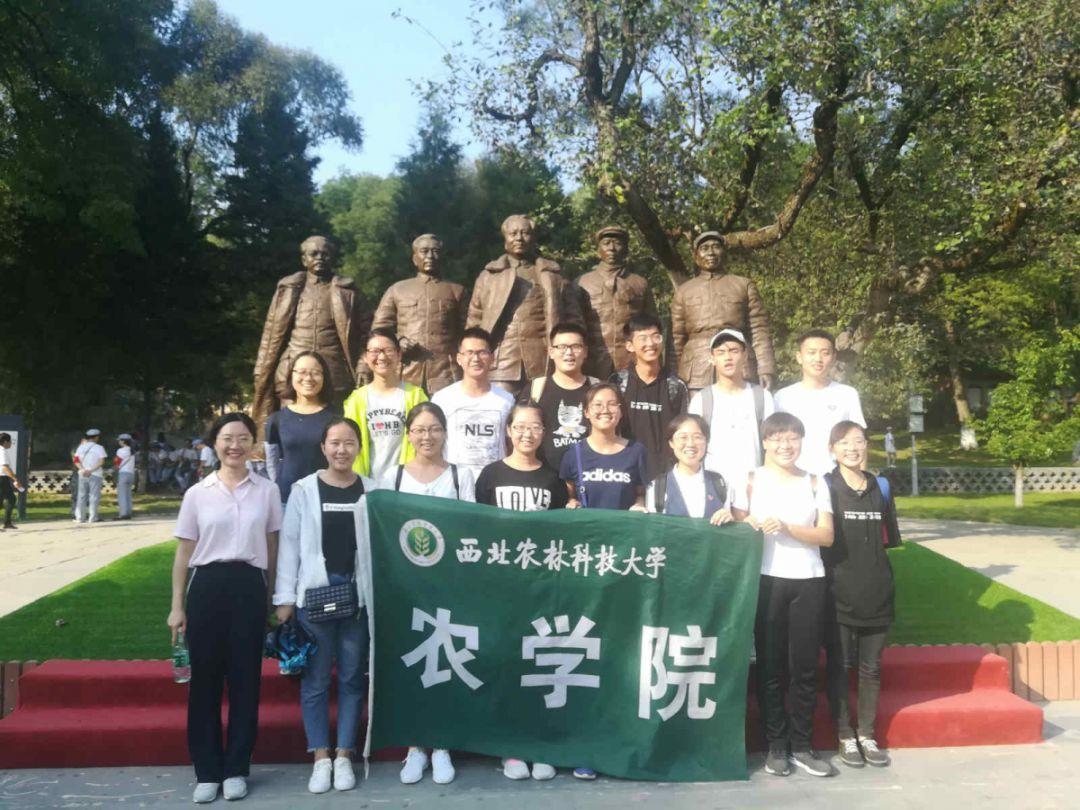 原来她已去世15年之久！新婚100天坠楼身亡，丈夫为遗产状告岳母