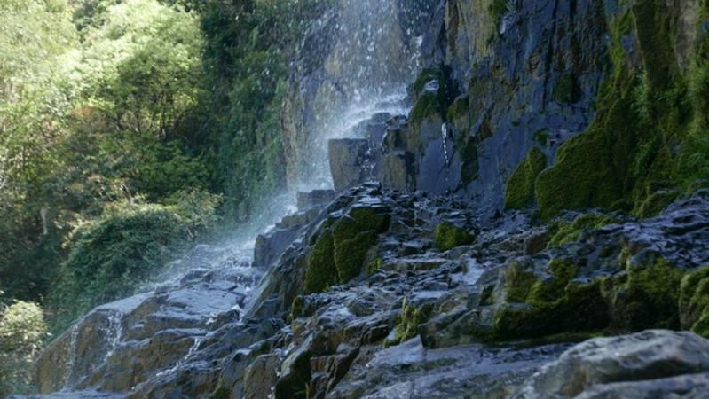 逃出猫头鹰岛