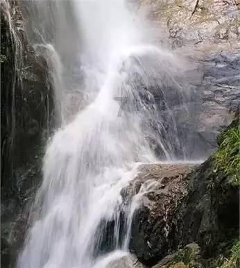 月光影视