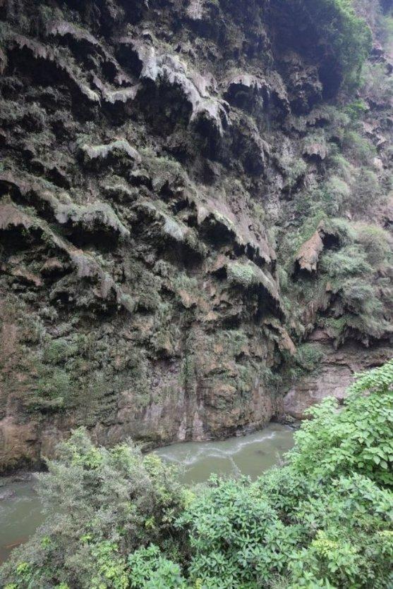 虫虫助手下载
