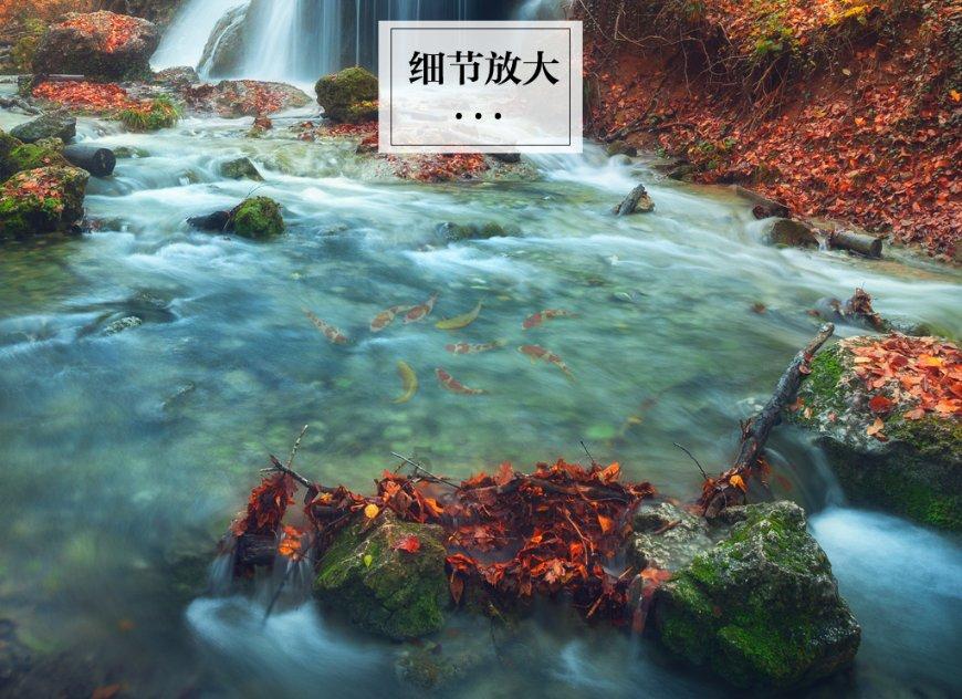 猎人：野性的呼唤