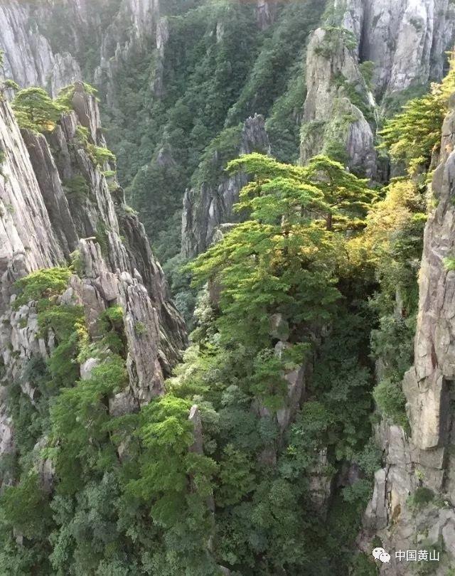 迪吉宫逃脱