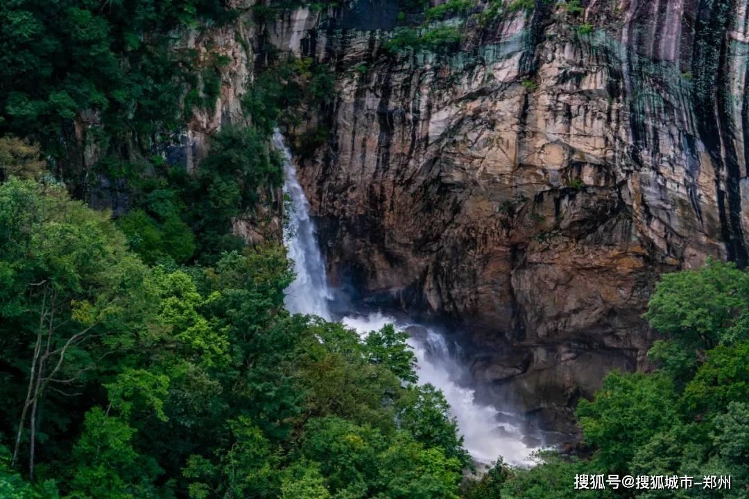 逗小猴开心系列205