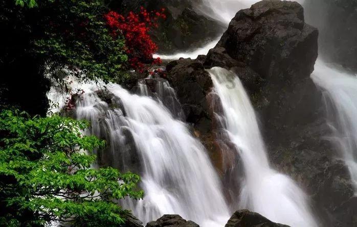 模拟山羊