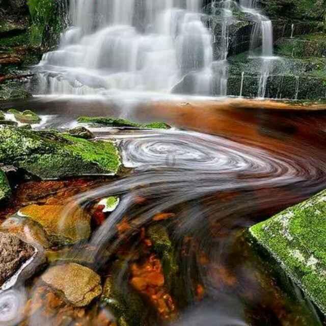 春雨直播app