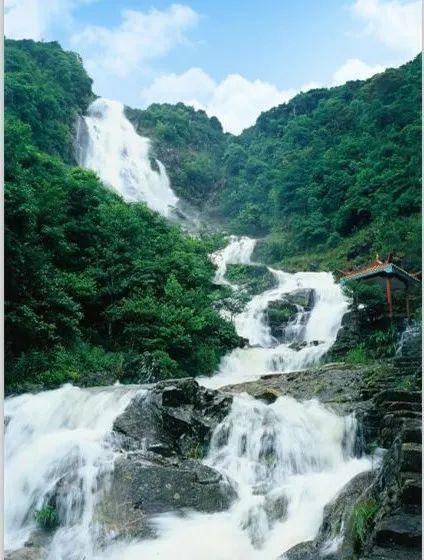 王占山:砍头也要革命,一人歼敌400,七一勋章是替战友领的