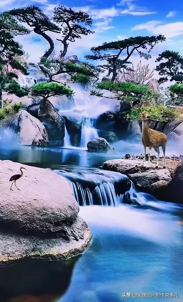 细胞分裂5