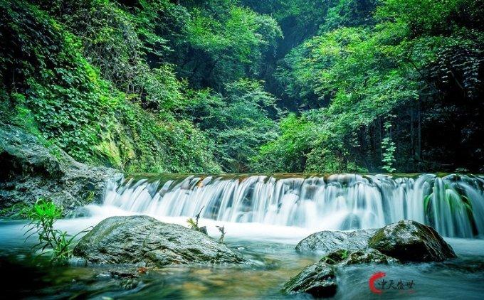 蓝色怪物救援
