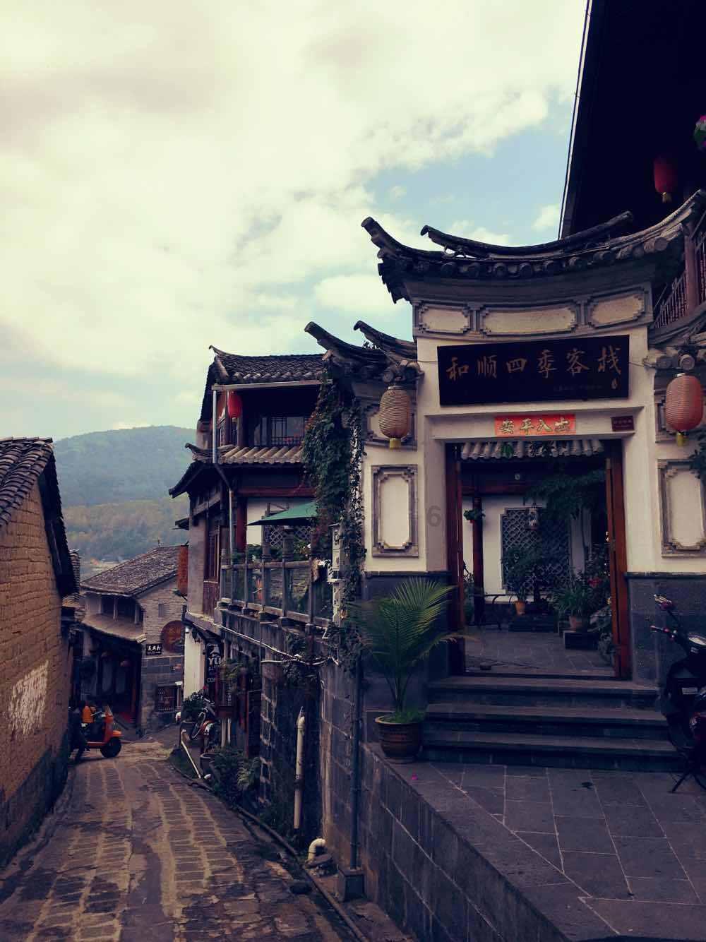 动物帮帮忙保卫家园