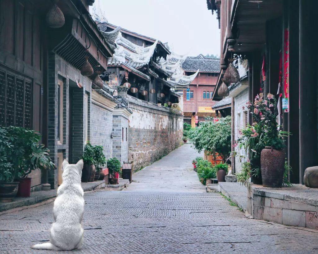 县域共青团基层组织改革丨凝心聚力促改革 久久为功续新章——满洲里市县域共青团基层组织改革综述