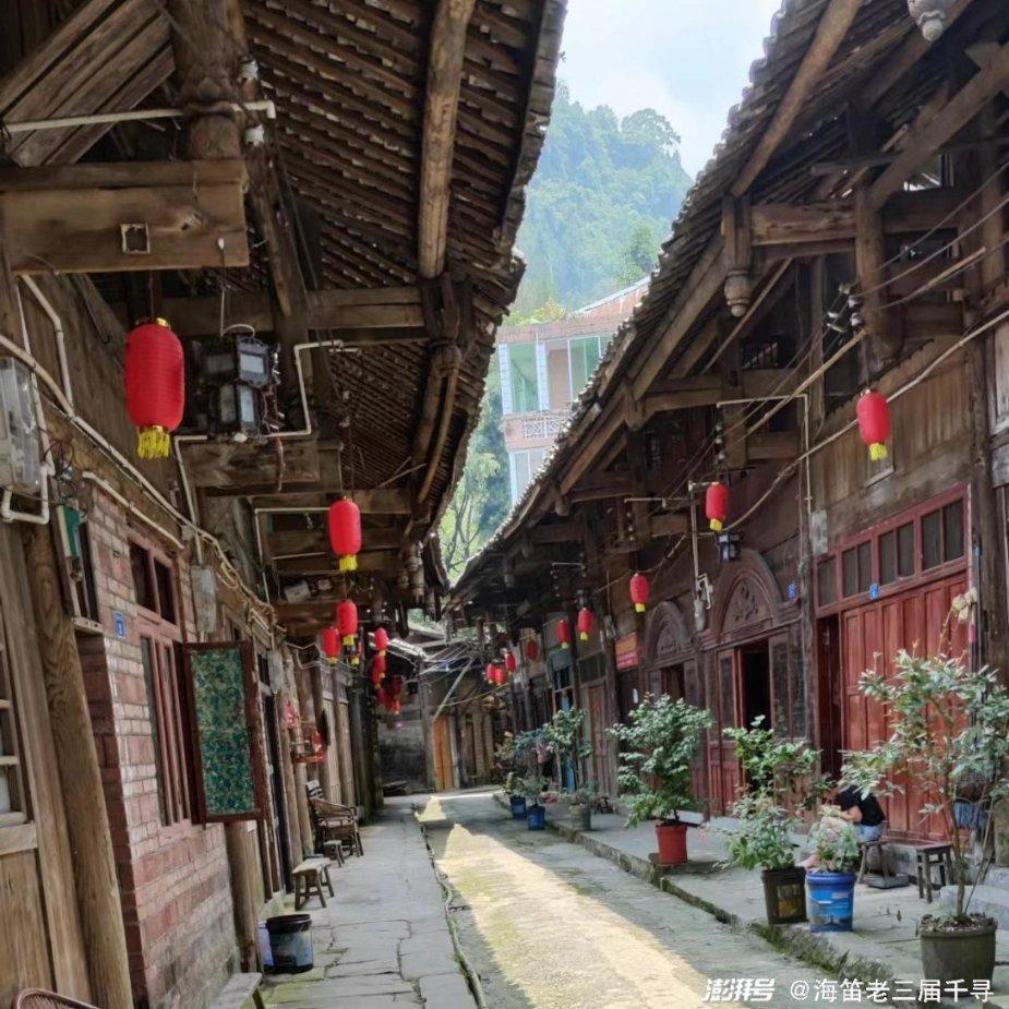 小猫钓鱼游戏龙王版有船