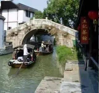 寻找迷路的松鼠