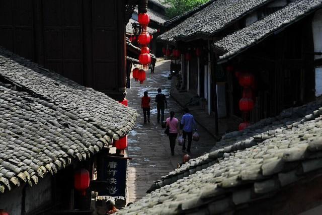 逃离棕榈树森林