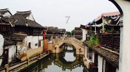 拯救精灵的土地5