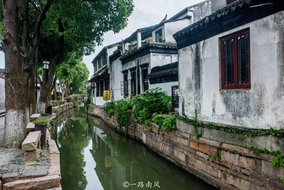 逗小猴开心系列213