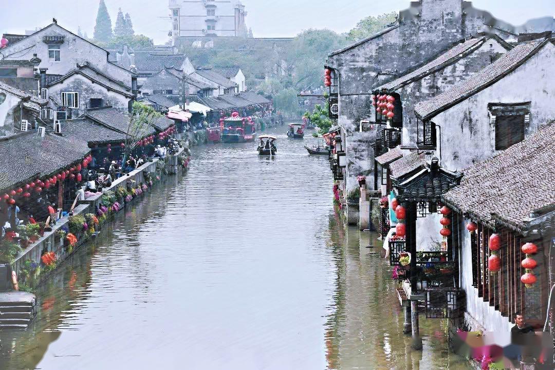《父母爱情》唯一输家：演技好长相一般，角色不讨喜，观众喊下线