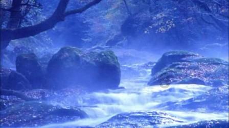 金轮天地控股盘中异动 下午盘股价大涨13.33%