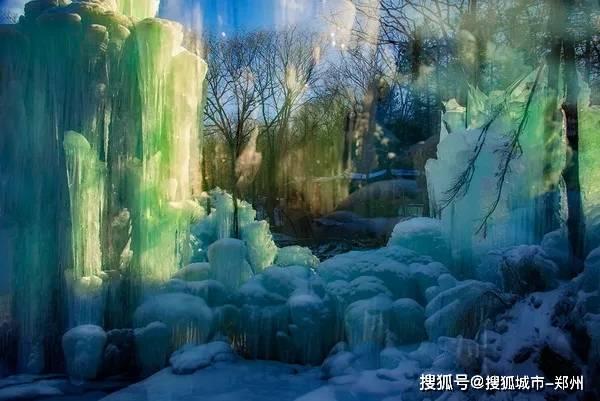 果冻分裂